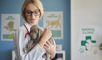 день ветеренарної служби